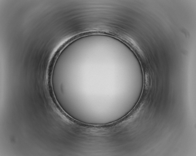 X0000113310780200909141005