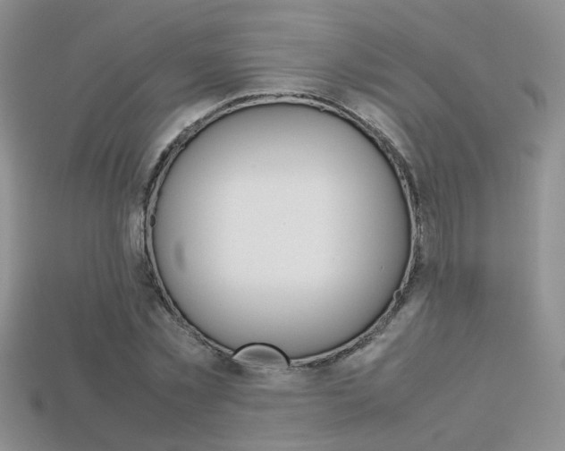 X0000113310781200909141005