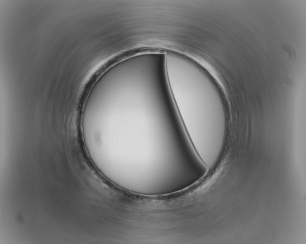 X0000113310783200909141005