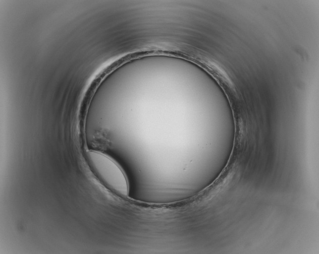 X0000113310784200909141005
