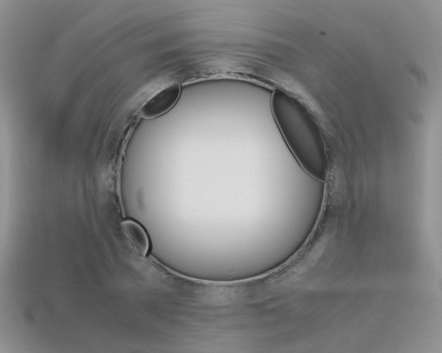 X0000113310785200909141005