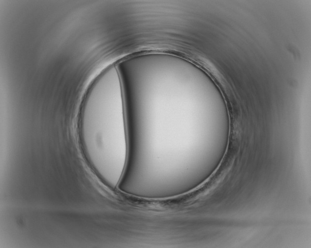X0000113310787200909141005