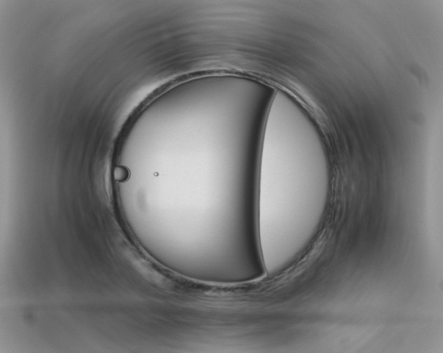X0000113310788200909141005
