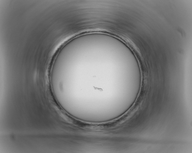 X0000113310789200909141005