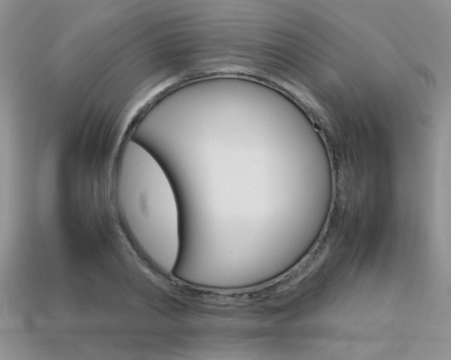 X0000113310790200909141005