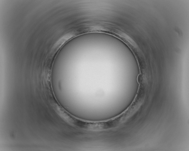 X0000113310793200909141005