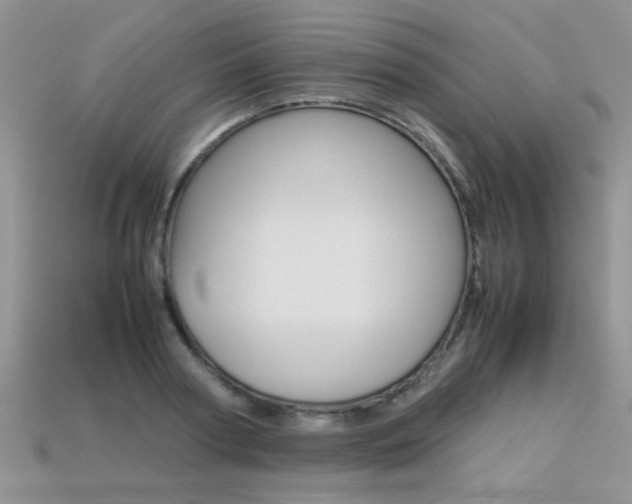 X0000113310794200909141005