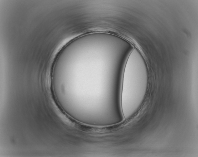 X0000113310795200909141005