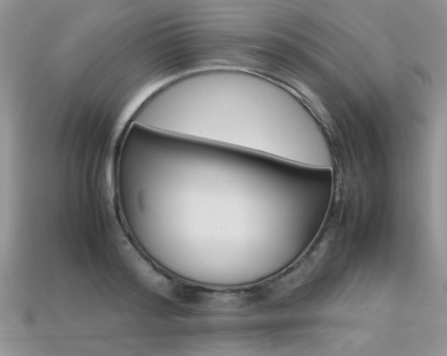 X0000113310796200909141005