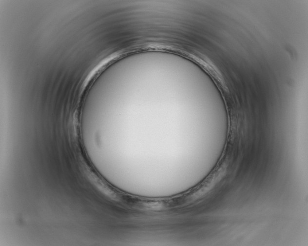 X0000113310798200909141005