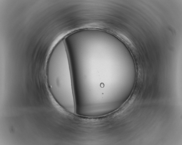 X0000113310800200909141005