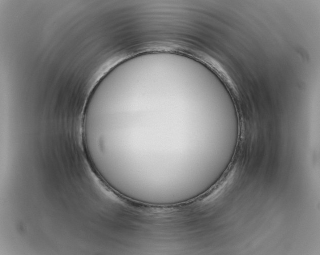 X0000113310802200909141005