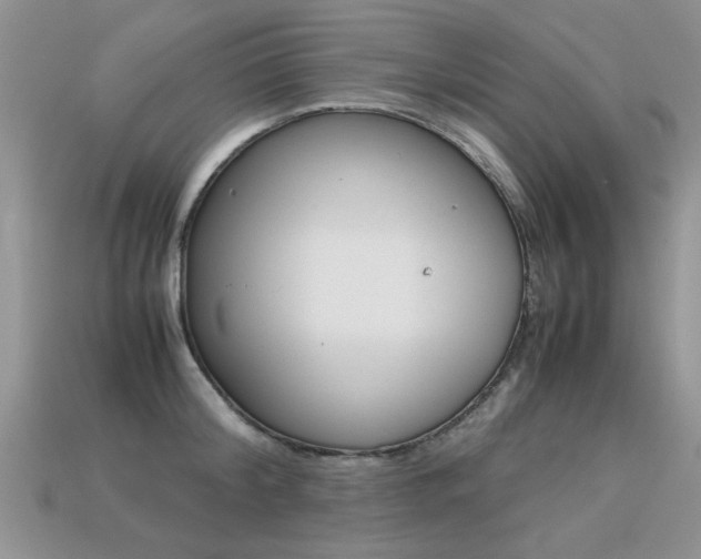 X0000113310804200909141005