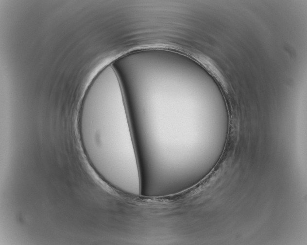 X0000113310805200909141005