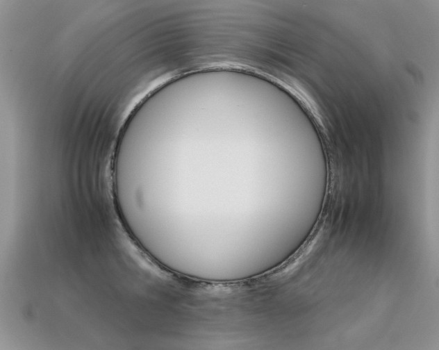 X0000113310806200909141005