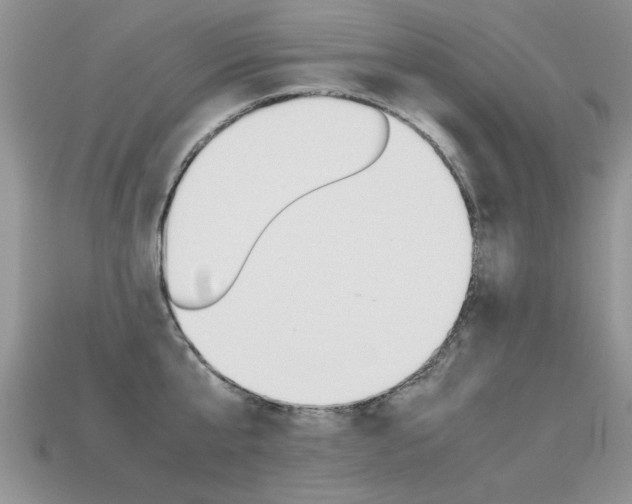 X0000113310807200909141005