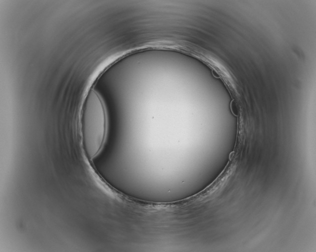 X0000113310808200909141005