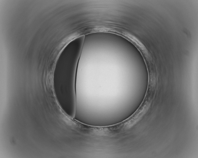 X0000113310809200909141005
