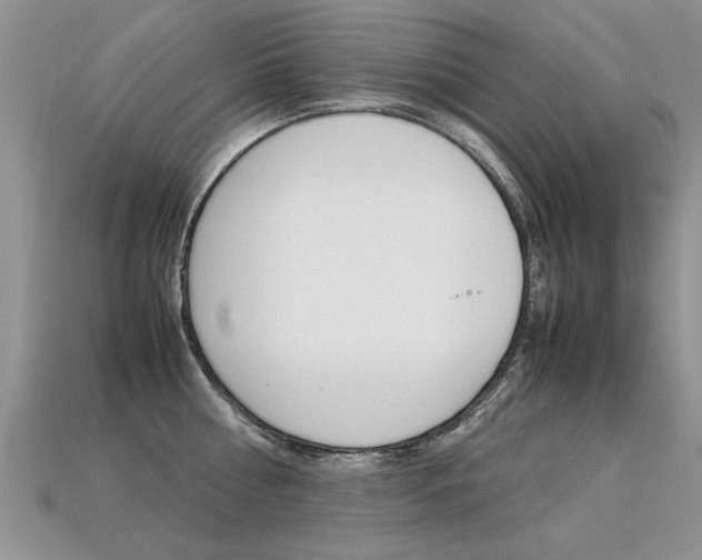 X0000113310810200909141005