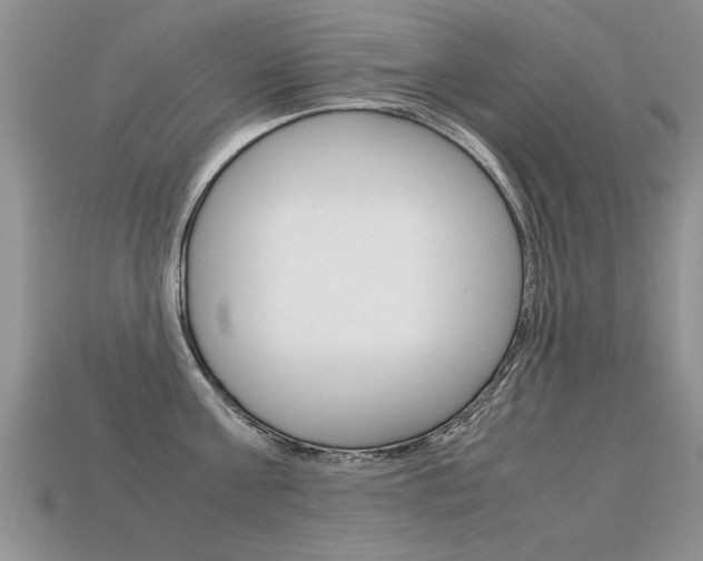 X0000113310811200909141005