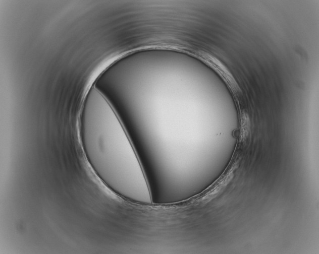 X0000113310812200909141005