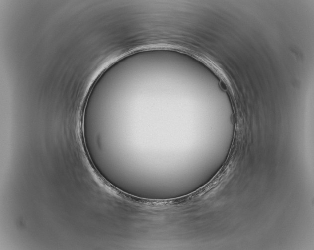 X0000113310813200909141005