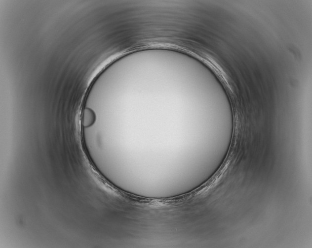 X0000113310814200909141005