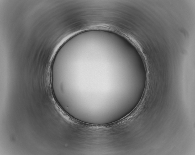 X0000113310816200909141005