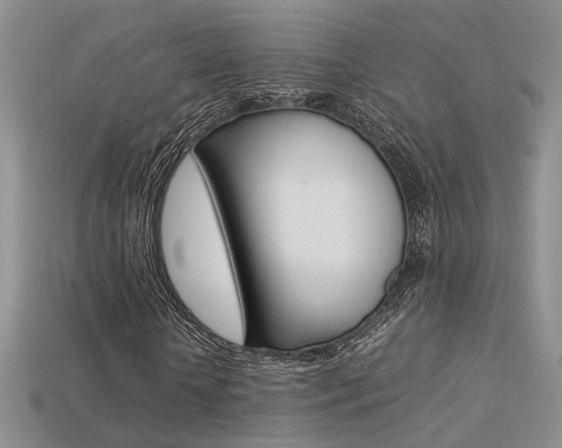 X0000113310818200909141004