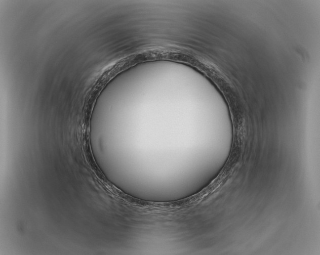 X0000113310822200909141004