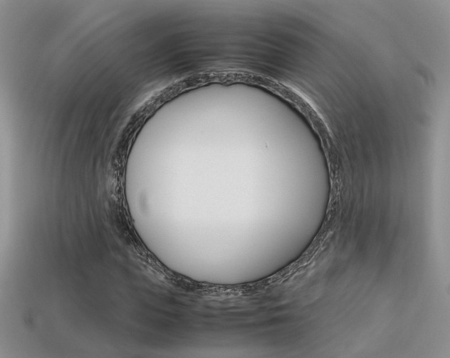 X0000113310823200909141004