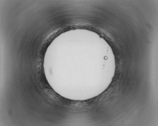 X0000113310824200909141004