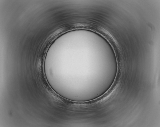 X0000113310825200909141004
