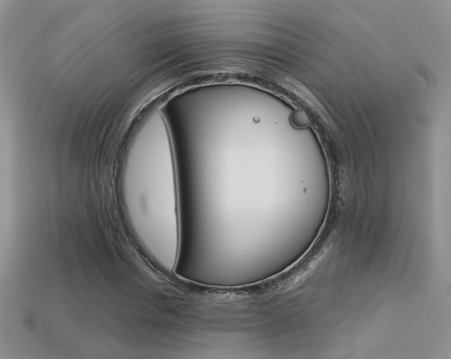 X0000113310826200909141004