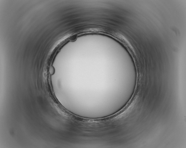 X0000113310827200909141004