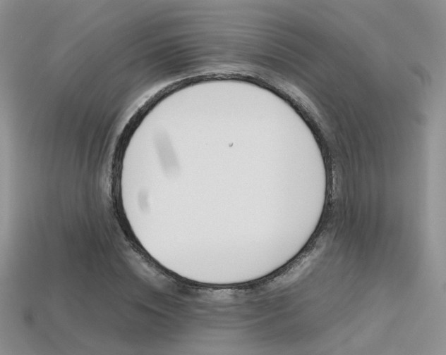 X0000113310828200909141004