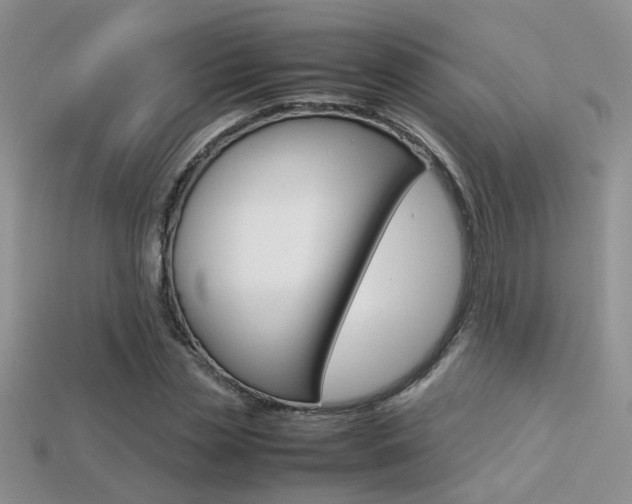 X0000113310829200909141004