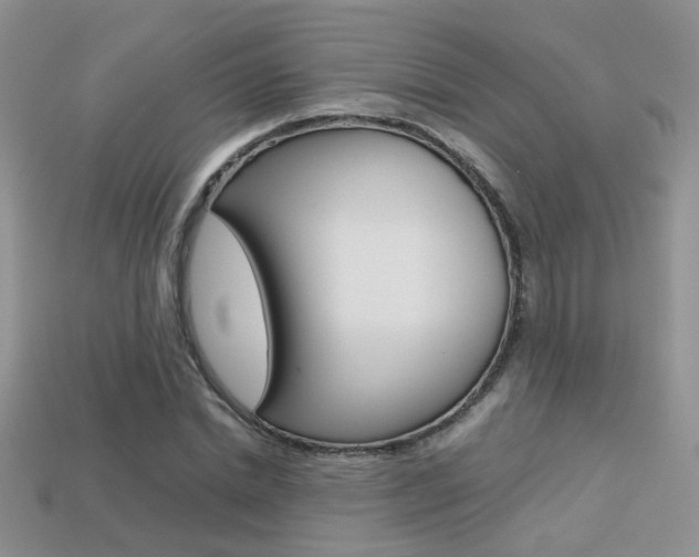X0000113310830200909141004