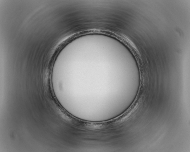 X0000113310831200909141004