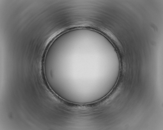 X0000113310834200909141004