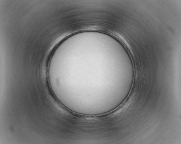 X0000113310835200909141004