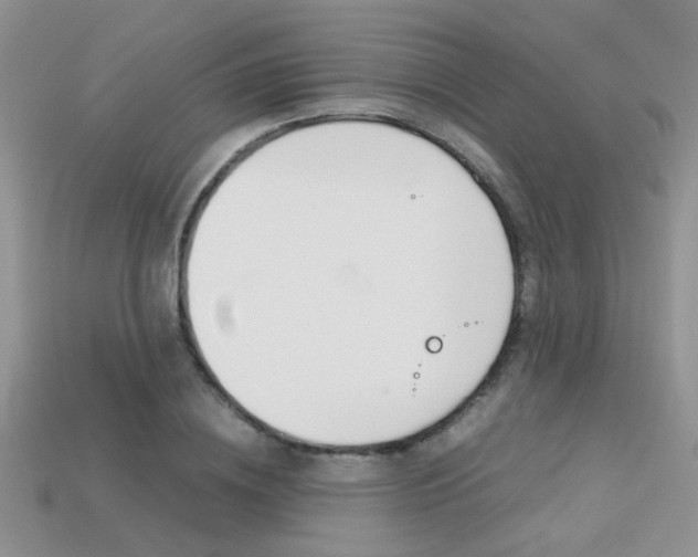X0000113310836200909141004