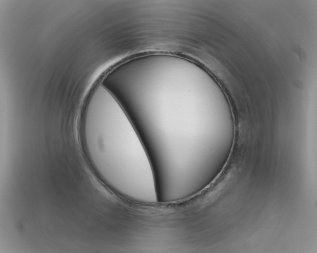 X0000113310838200909141004