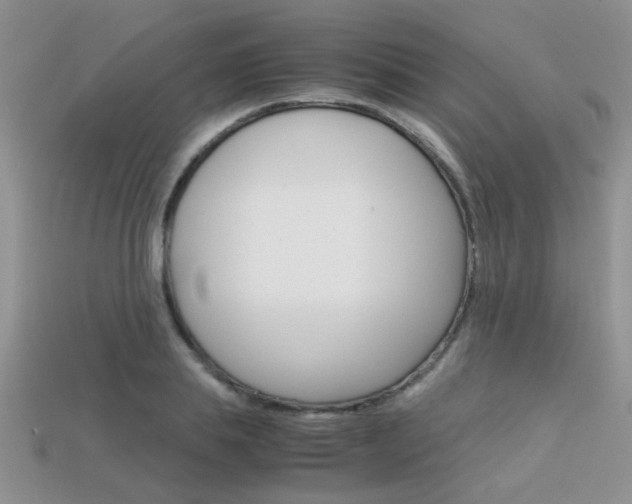 X0000113310839200909141004