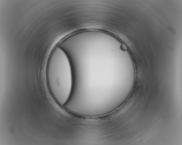 X0000113310840200909141004