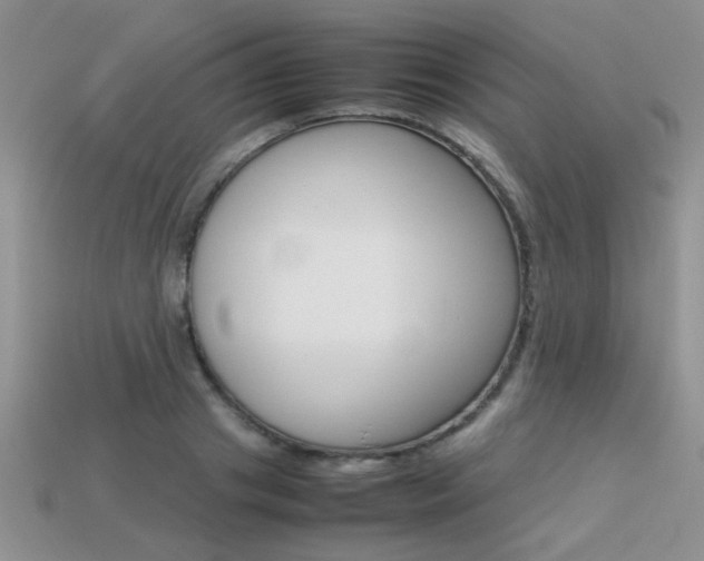 X0000113310841200909141004