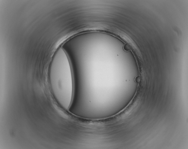X0000113310842200909141004