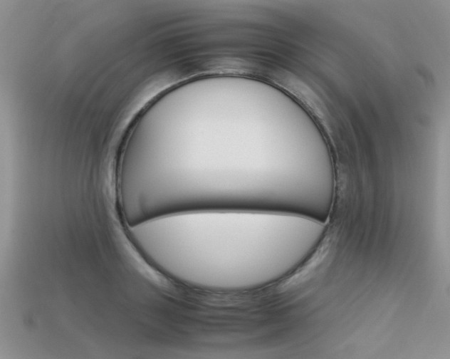 X0000113310843200909141004