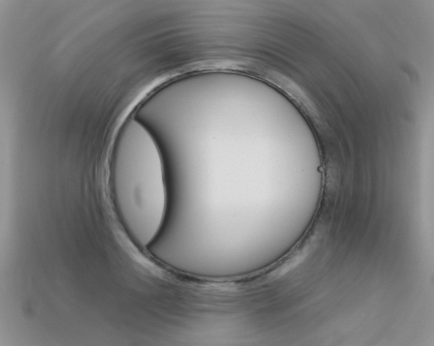 X0000113310844200909141004