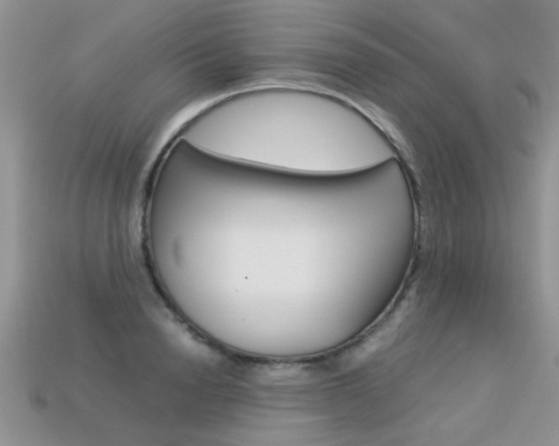 X0000113310846200909141004